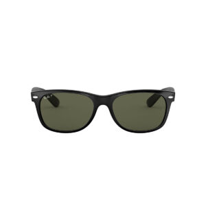 Ray-Ban NEW WAYFARER Polarized Sunglasses