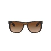 Ray-Ban-Justin-000