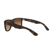 Ray-Ban-Justin-120