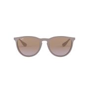 Ray-Ban Erika-000