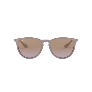 Ray-Ban ERIKA Sunglasses