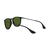 Ray-Ban-Erika-120