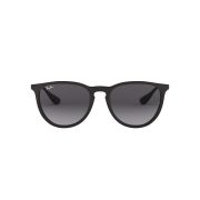 Ray-Ban-Erika-000