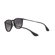 Ray-Ban-Erika-120