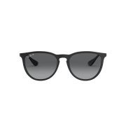 Ray-Ban Erika-000