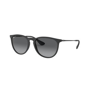Ray-Ban ERIKA Polarized Sunglasses