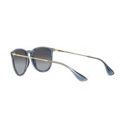 Ray-Ban Erika-120
