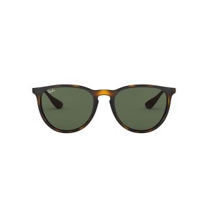 Ray-Ban ERIKA Sunglasses