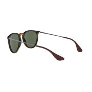 Ray-Ban-Erika-120