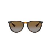 Ray-Ban-Erika-000