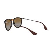 Ray-Ban-Erika-120