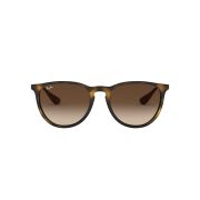 Ray-Ban-Erika-000