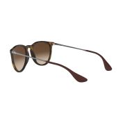 Ray-Ban-Erika-120