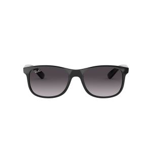 Ray-Ban ANDY Sunglasses