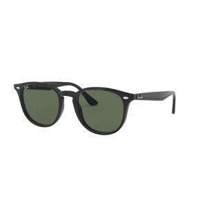 Ray-Ban RB4259 Sunglasses