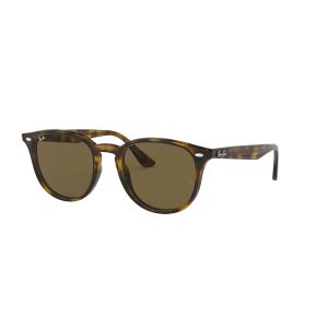 Ray-Ban RB4259 Sunglasses
