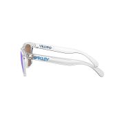 Oakley-Frogskins-Sunglasses-090