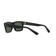 Ray-Ban- WARREN -120