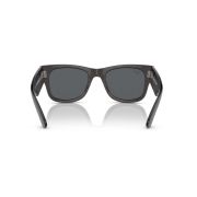 Ray-Ban-Mega Wayfarer-Back