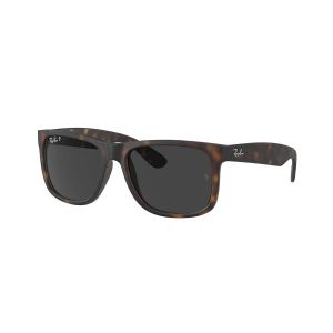 Ray-Ban JUSTIN Polarized Sunglasses