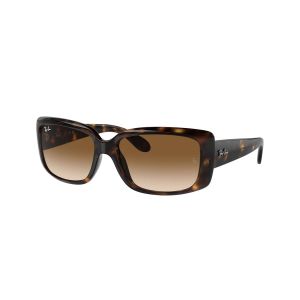 Ray-Ban RB4389 Sunglasses