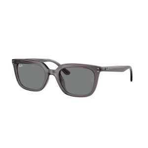 Ray-Ban RB4439D Sunglasses