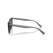 Ray-Ban-RB4439D-Side