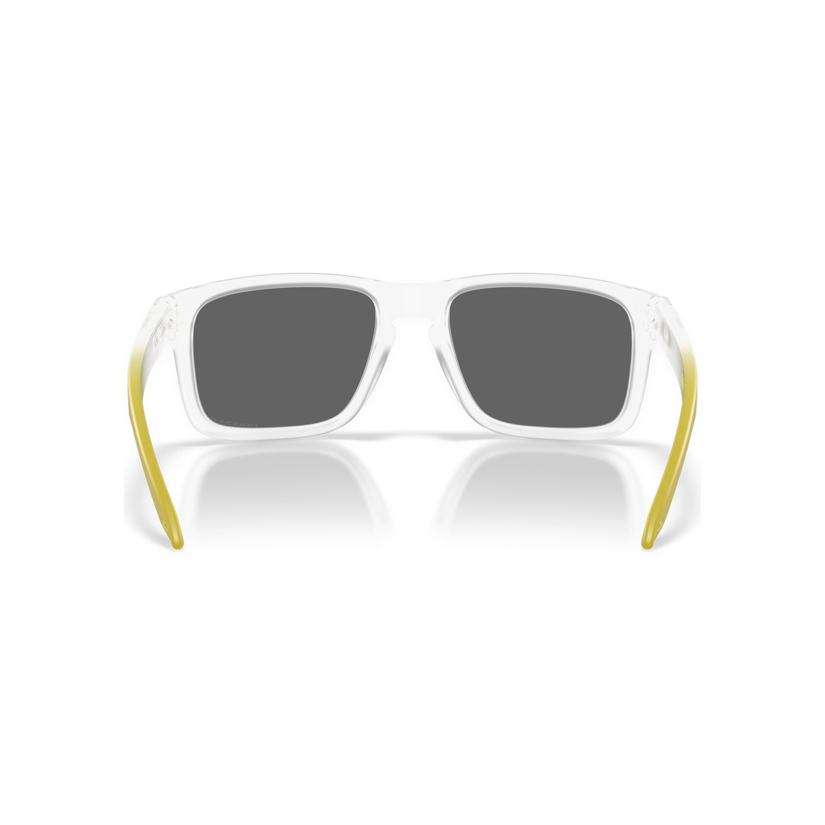 Oakley-Holbrook-Back