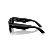 Ray-Ban-Wayfarer Puffer-Side