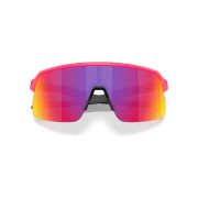Oakley-Masseter-Back