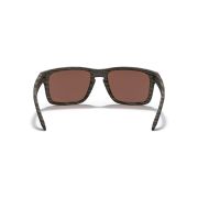 Oakley-Holbrook-Back