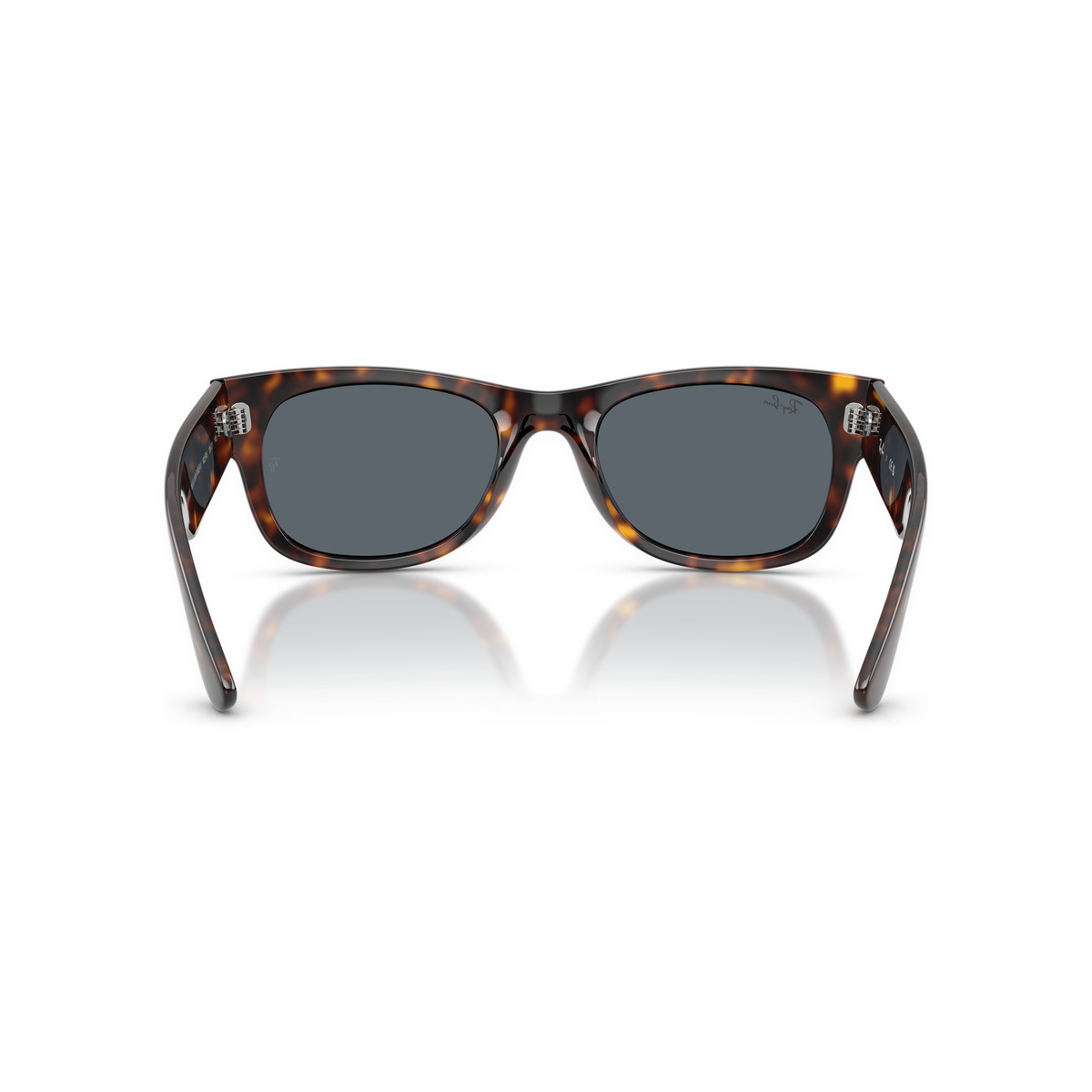 Ray-Ban-Mega Wayfarer Ii-Back