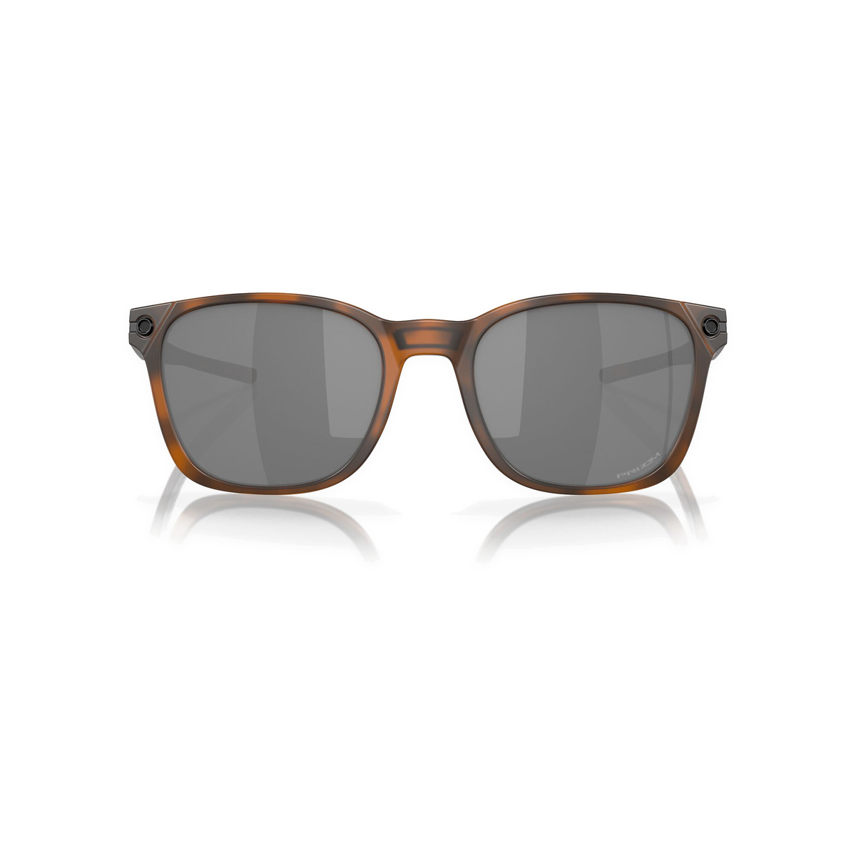 Oakley-Holbrook-Back